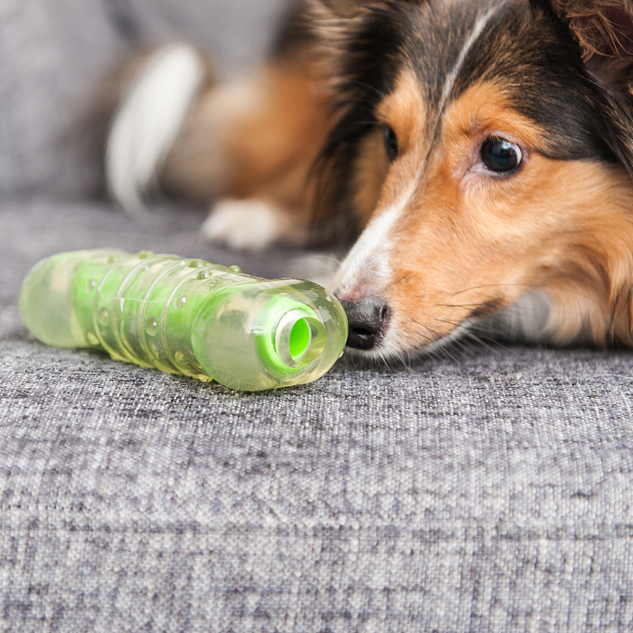 Petstages игрушка для собак "Хрустящая косточка" резиновая 12 см средняя