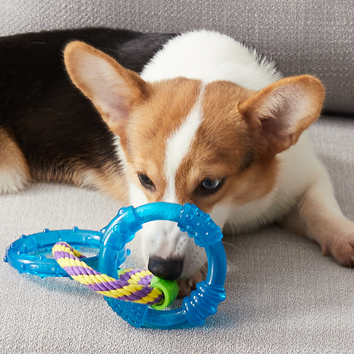 Petstages игрушка для собак "ОРКА 3 кольца" 23 см