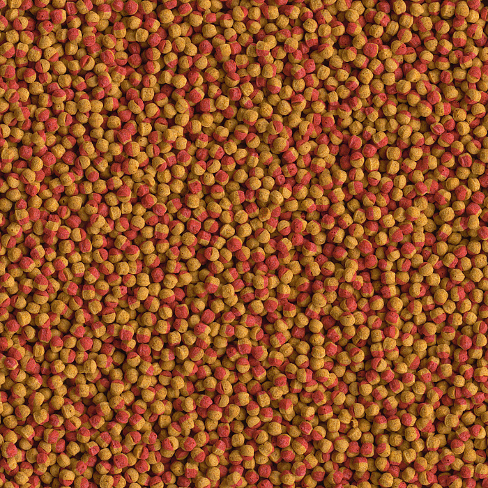 TetraCichlid Colour корм для всех видов цихлид для улучшения окраса 10 л (ведро)