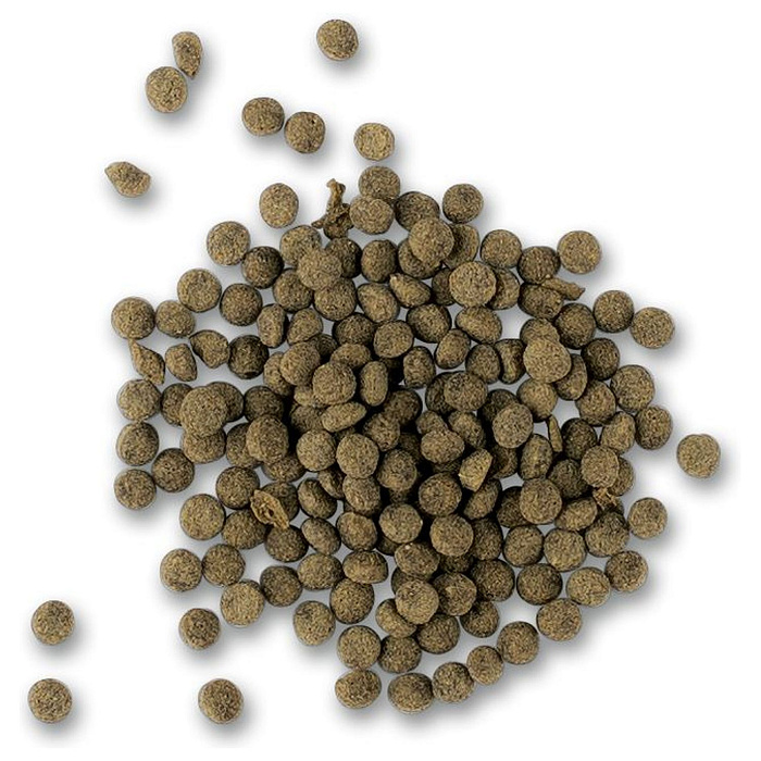 TetraCichlid Algae Mini корм для всех видов цихлид 10 л (ведро)