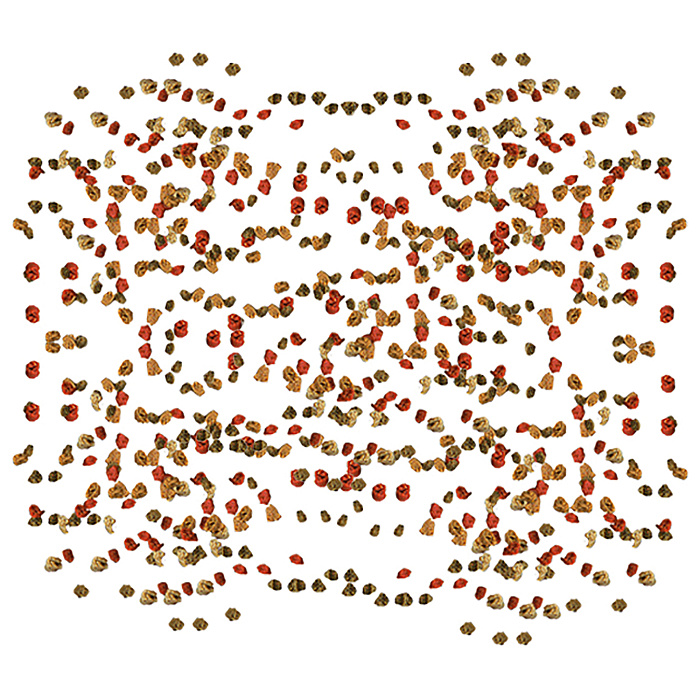 TetraMin Granules корм для всех видов рыб в гранулах 10 л (ведро)