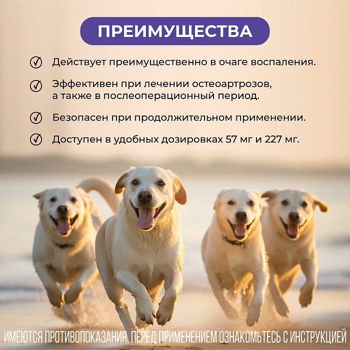 VIC Фироко® 57 мг для собак, коробка 20 табл.