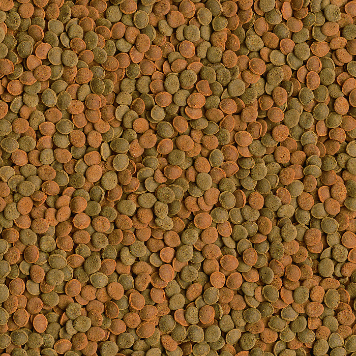 TetraWaferMix корм-чипсы для всех донных рыб 15 г (sachet)