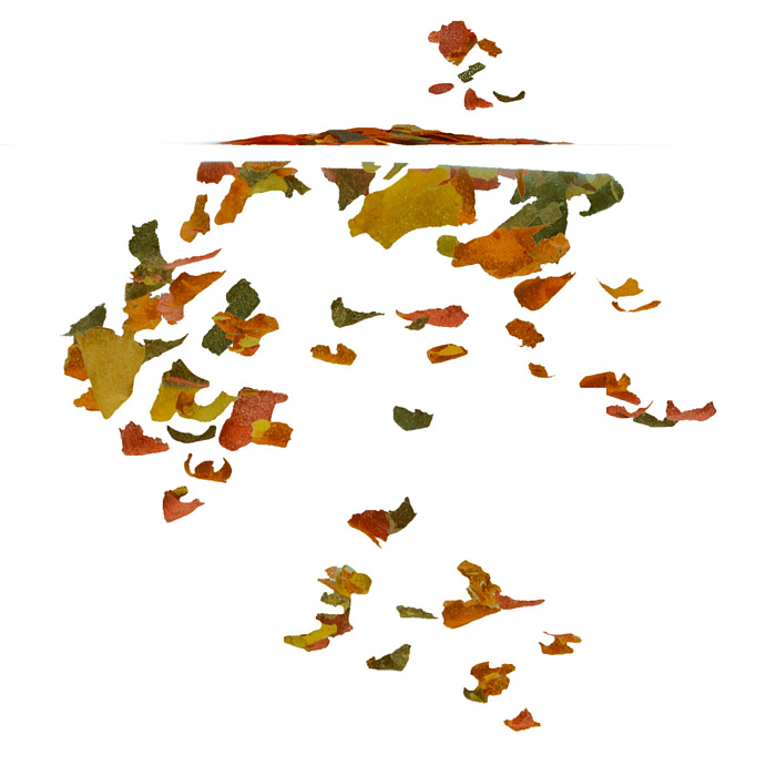 TetraRubin корм в хлопьях для улучшения окраса всех видов рыб 100 мл