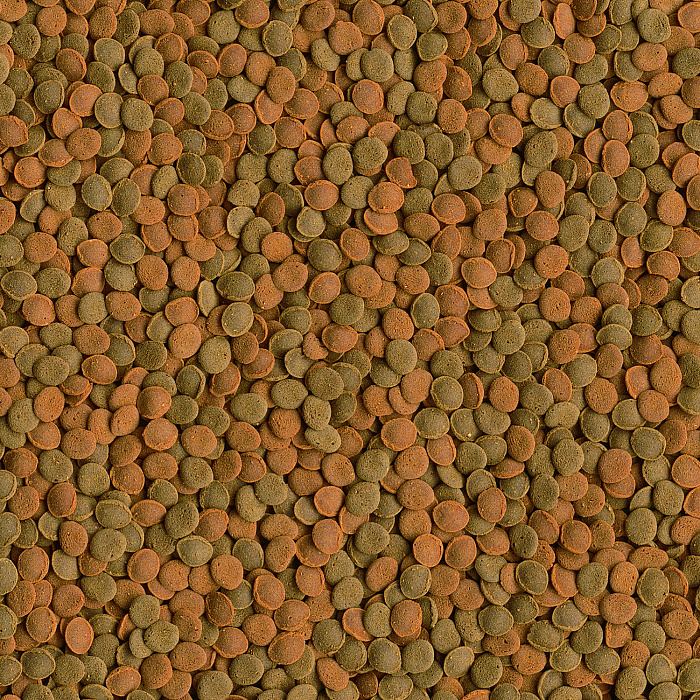 TetraWaferMix корм-чипсы для всех донных рыб 250 мл.