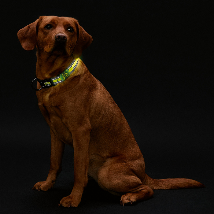 Hunter LED Ошейник Manoa Glow L (55-60)/2,5 желтый СКИДКА 50%