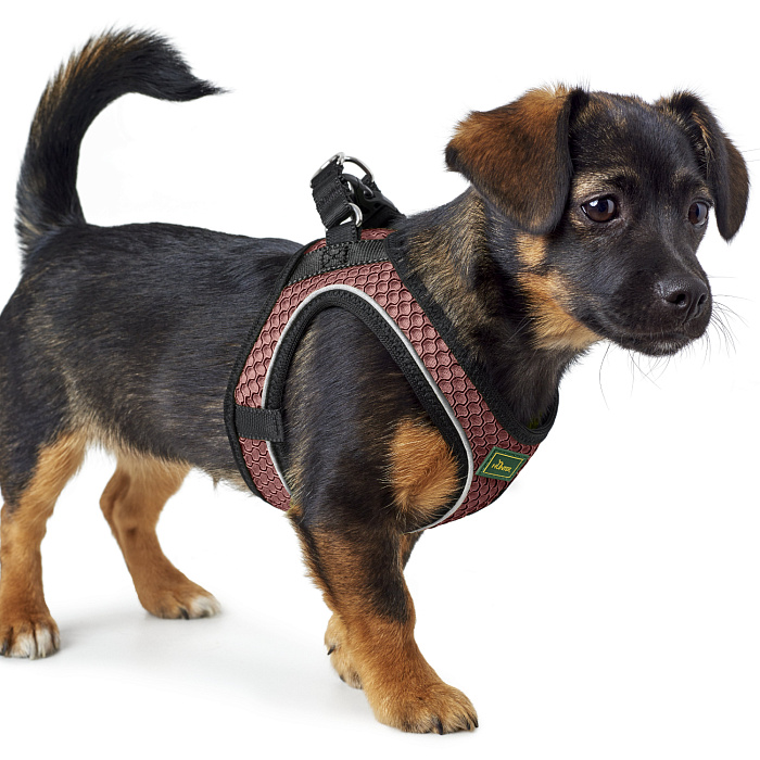 Hunter шлейка для собак Hilo Comfort 46-52 см, сетчатый текстиль, пыльная роза СКИДКА 40%