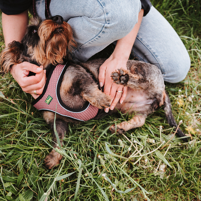 Hunter шлейка для собак Hilo Comfort 46-52 см, сетчатый текстиль, пыльная роза СКИДКА 40%