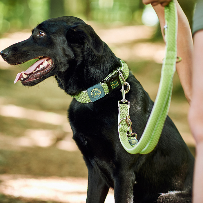 Hunter поводок-перестежка для собак Hilo 15 / 200 нейлон лайм СКИДКА 50%