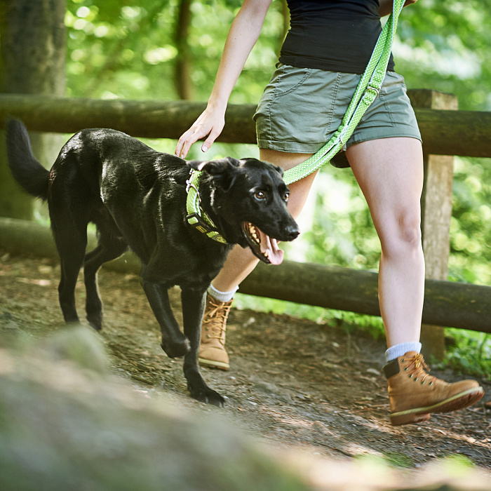 Hunter поводок-перестежка для собак Hilo 15 / 200 нейлон лайм СКИДКА 50%