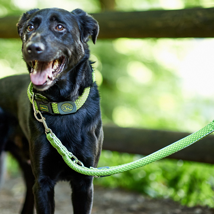 Hunter поводок-перестежка для собак Hilo 15 / 200 нейлон лайм СКИДКА 50%