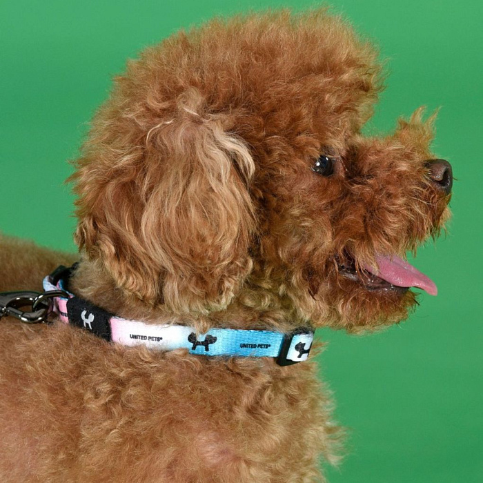 Ошейник United Pets для собак Complete me L 25 x 430/730mm, розово-голубой тай-дай