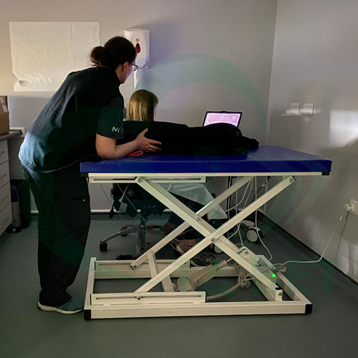 ТД ВЕТ Стол ветеринарный для УЗИ VETBOT-90, 1320x720x(330-1130)h (каркас белый, пульт ножной)