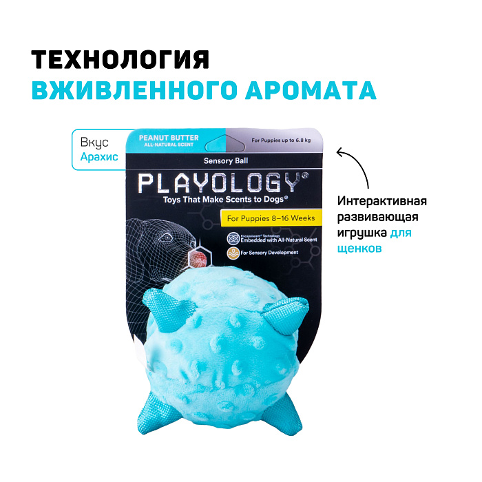 Сенсорный плюшевый мяч Playology PUPPY SENSORY BALL 11 см для щенков мелких и средних пород 8-16 недель с ароматом арахиса, цвет голубой СКИДКА 50%