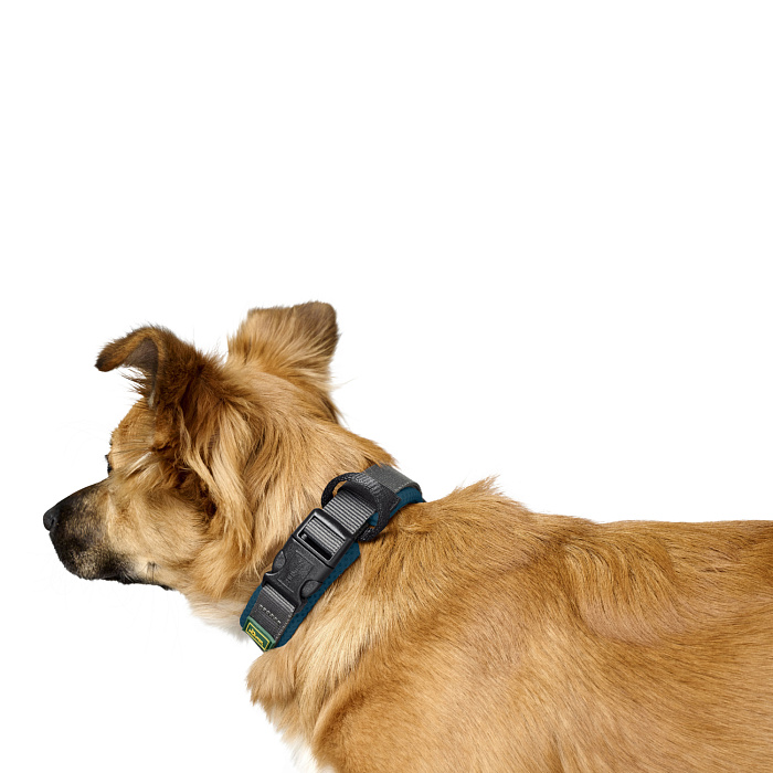 Ошейник Hunter Maldon для собак 45-55 см, размер L, бирюзовый/серый