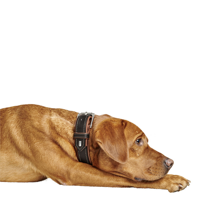 Ошейник Hunter Canadian UP для собак, обхват 50-56 см, длина 65 см, черный/коньячный