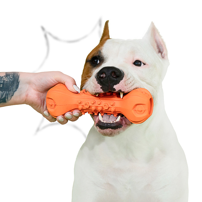 Игрушка Mr.Kranch для собак Гантель дентальная и пищалкой 22 см оранжевая с ароматом бекона