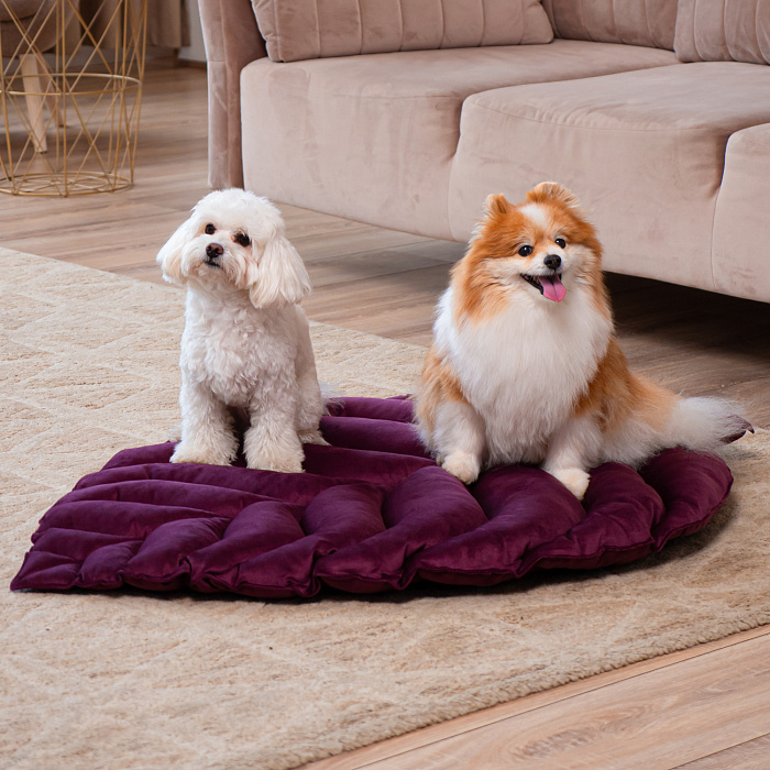 Лежанка Mr.Kranch для собак Листочек большая размер 120х73х6см фиолетовая