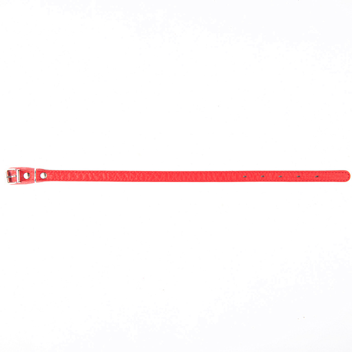 Ошейник Mr.Kranch для собак из натуральной кожи прямой 29-35см красный СКИДКА 40%