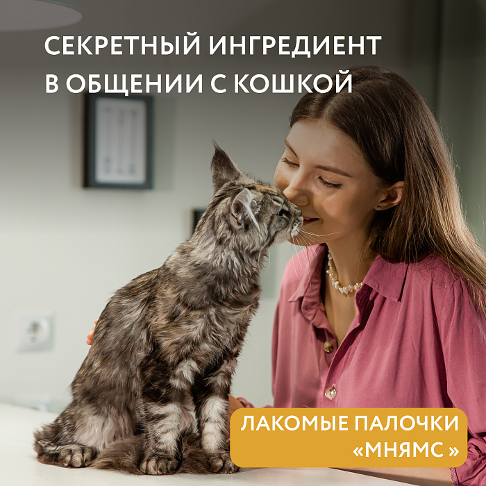 Лакомство Мнямс лакомые палочки для кошек из цыпленка и печени 3х5 г