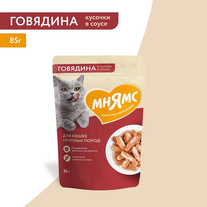 Влажный корм Мнямс На каждый день Кусочки в соусе с говядиной для крупных кошек 85 г