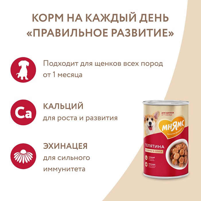 Влажный корм Мнямс На каждый день Кусочки в соусе с телятиной для щенков «ПРАВИЛЬНОЕ РАЗВИТИЕ» 400 г