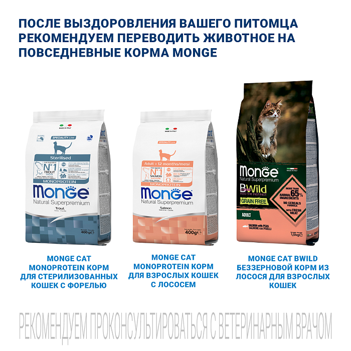 Диетический корм Monge VetSolution Cat Dermatosis Дерматозис для кошек при заболеваниях кожи 1,5 кг