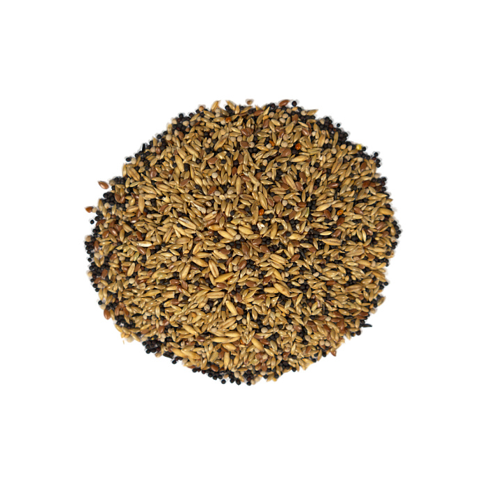 FIORY корм для канареек Pet Paradise 1 кг