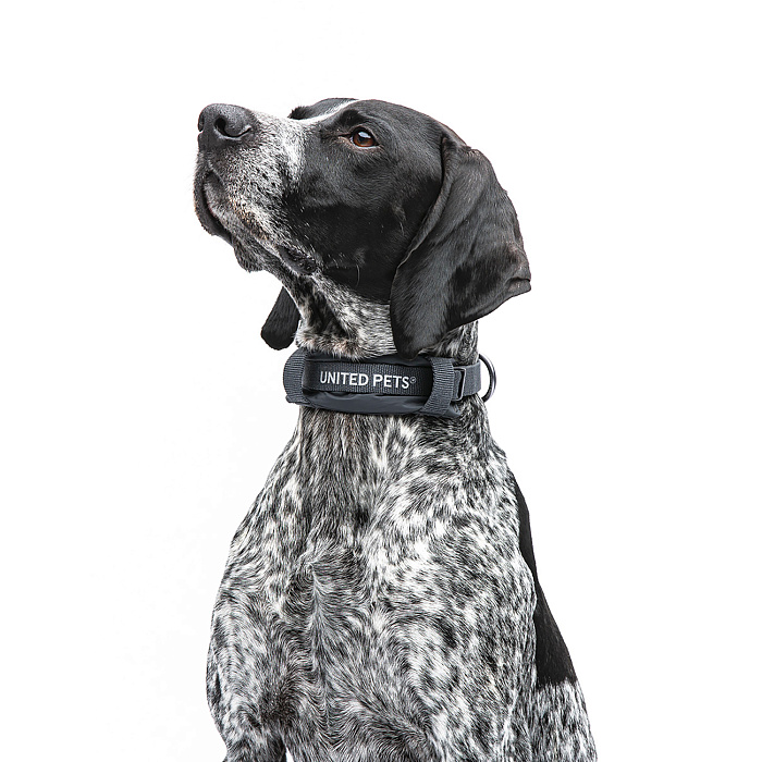 Ошейник United Pets с мягкой подкладкой для собак Citylife M 20 x 35-50 см черный