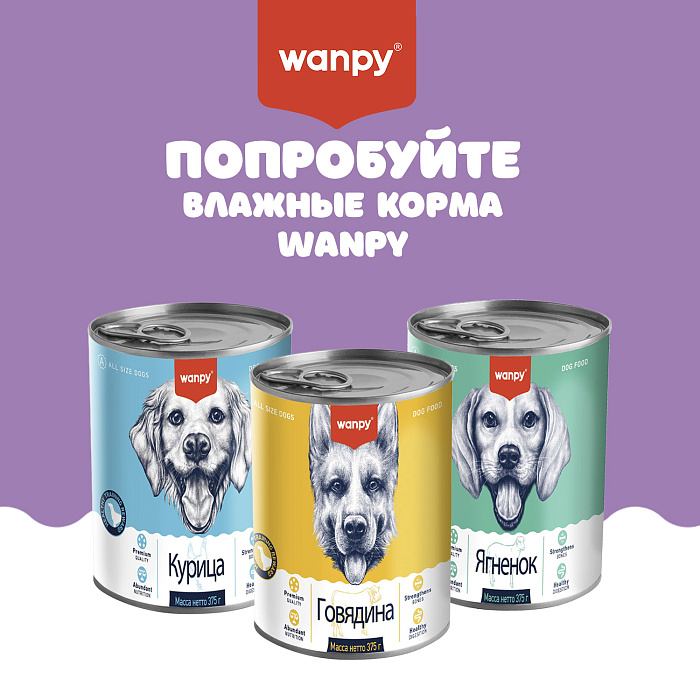 Wanpy Dog лакомства для собак "Адвент-календарь" 100 г