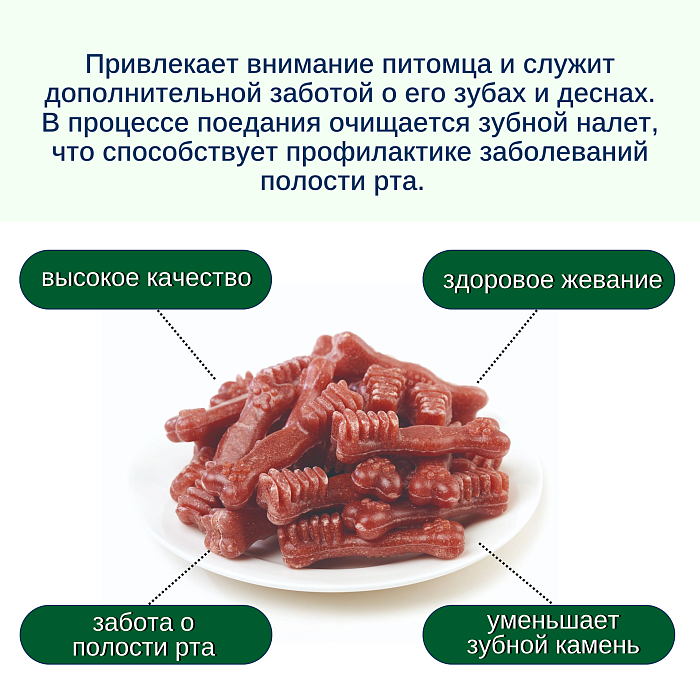 Wanpy Dog Лакомство для собак "Зубные щетки со вкусом говядины" 100 г