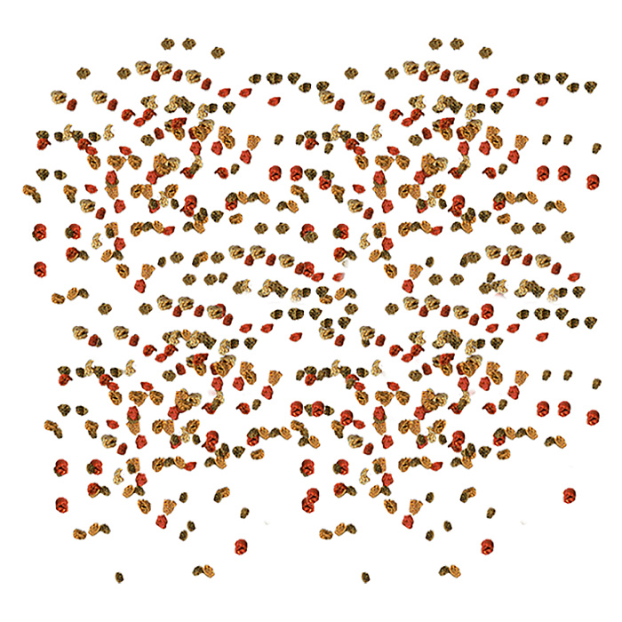 TetraMin Granules корм для всех видов рыб в гранулах 15 г (sachet)