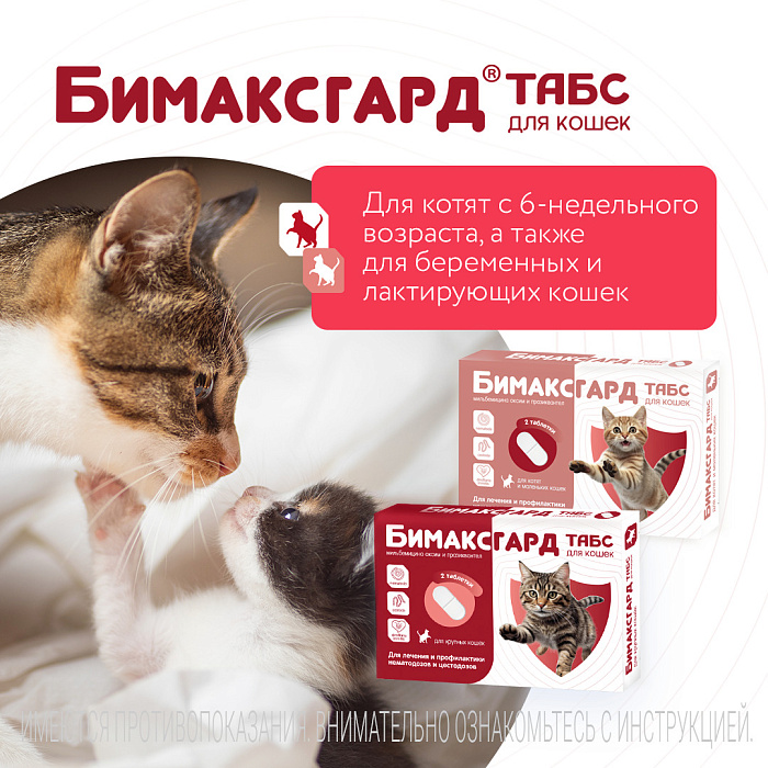 Бимаксгард® ТАБС антигельминтный препарат для крупных кошек, 2 таб.