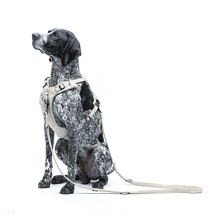 Шлейка United Pets для собак Citylife Y-образная S 15 x 45-60, бежевый