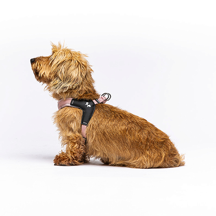 Шлейка United Pets для собак Citylife M 20 x 36-52, пыльная роза