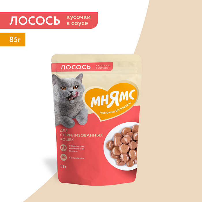 Влажный корм Мнямс На каждый день Кусочки в соусе с лососем для стерилизованных кошек 85 г
