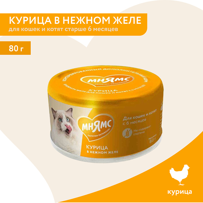 Влажный дополнительный корм Мнямс На каждый день для кошек и котят старше 6 месяцев "курица в нежном желе" 80 г