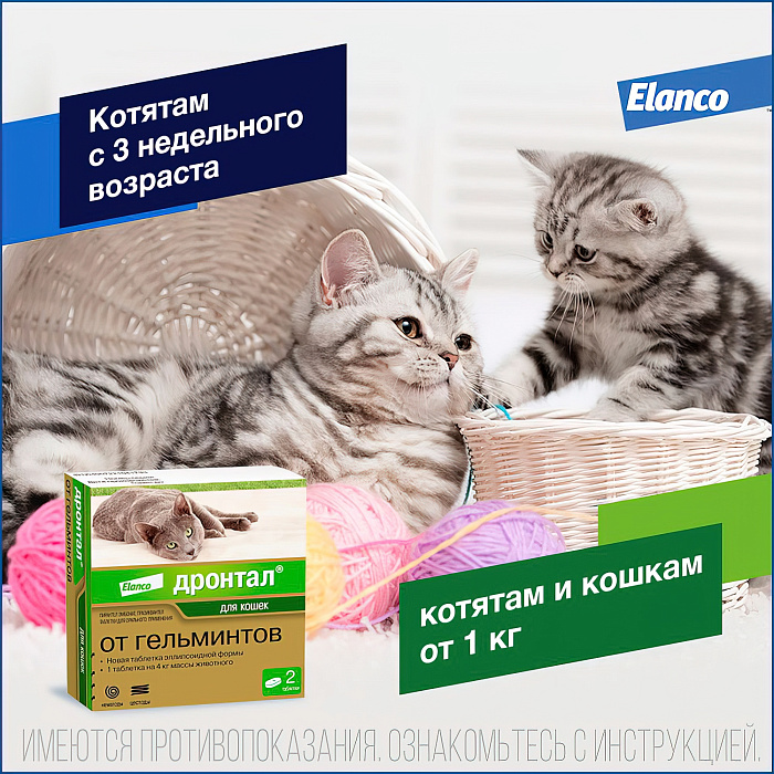 Bayer Дронтал таблетки от гельминтов для кошек 2 таб.