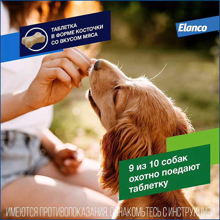 Bayer Дронтал плюс таблетки со вкусом мяса от гельминтов для собак 2 таб. (1 таб. на 10 кг)