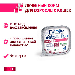 Диетический корм Monge VetSolution Cat Recovery Рекавери для кошек при восстановлении питания в период выздоровления 100 г