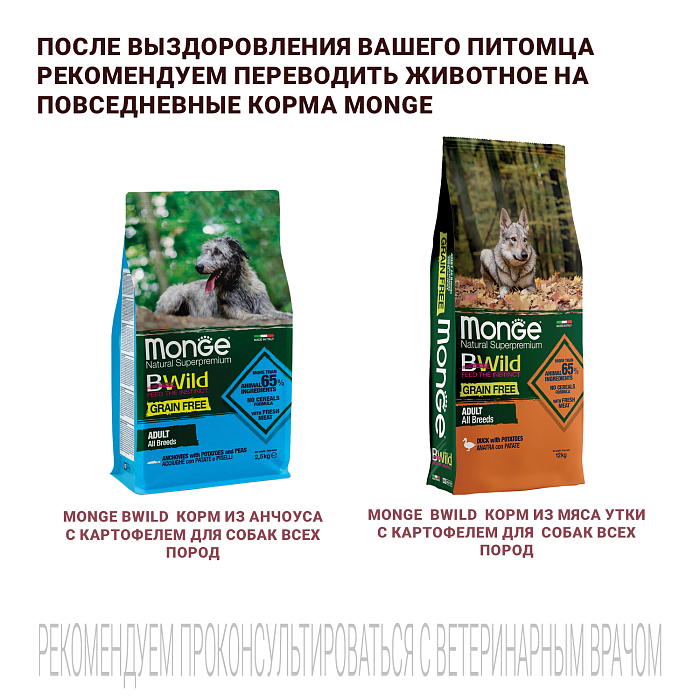 Диетический корм Monge VetSolution Dog Hepatic Гепатик для собак при заболеваниях печени 2 кг