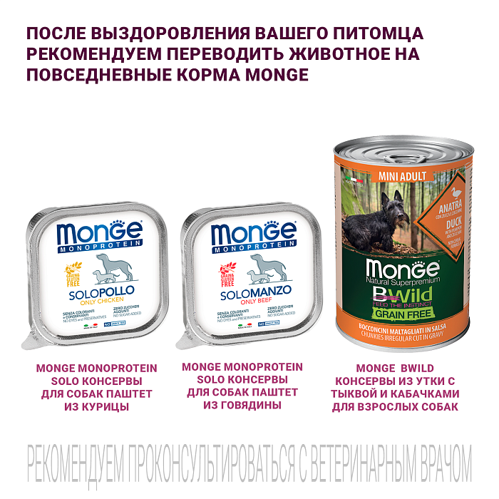 Диетический корм Monge VetSolution Dog Gastrointestinal Гастроинтестинал для собак при заболеваниях ЖКТ 2 кг