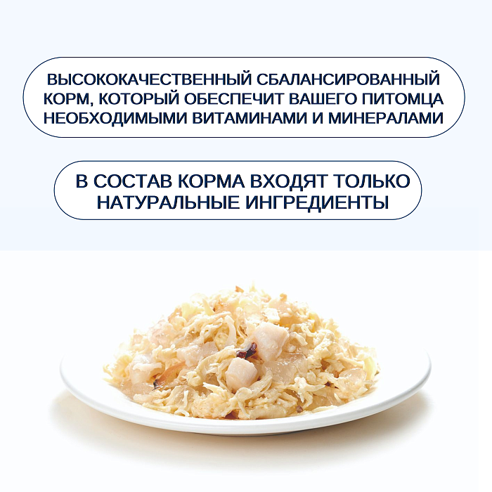 Wanpy Cat Консервы для кошек "Курица с гребешком" 95 г