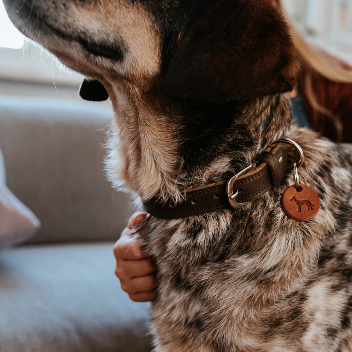 Hunter ошейник для собак Lemvig M-L (60 см), натуральная кожа, оливково-коричневый дуотон