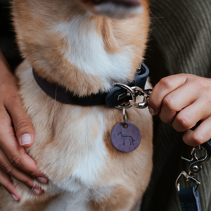 Hunter ошейник для собак Lemvig S (45 см), натуральная кожа, сине-лавандовый дуотон