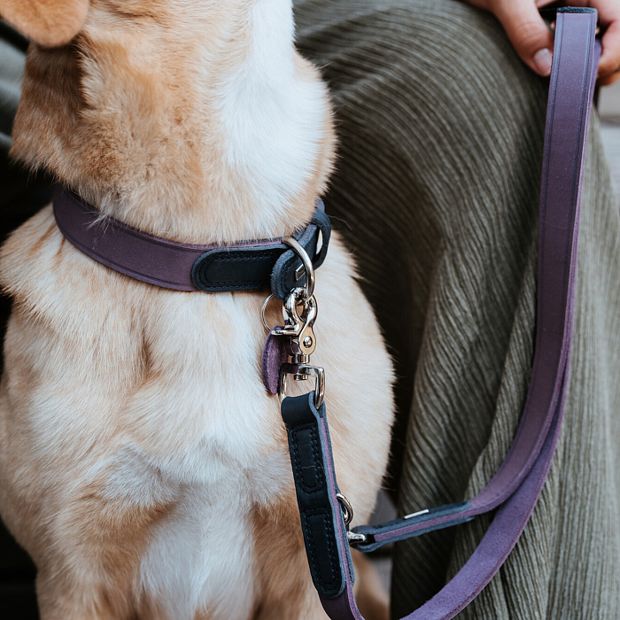 Hunter ошейник для собак Lemvig M (55 см), натуральная кожа, сине-лавандовый дуотон