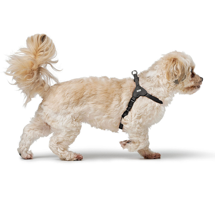 Hunter шлейка для собак Soho Mini XS (30-39 см), натуральная кожа, черная