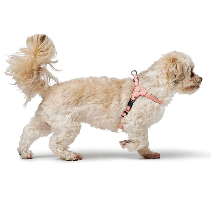 Hunter шлейка для собак Soho Mini XS-S (33-44 см), натуральная кожа, розовая