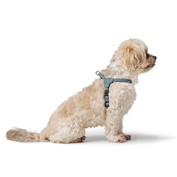 Hunter шлейка для собак Soho Mini XXS-XS (28-34 см), натуральная кожа, голубая