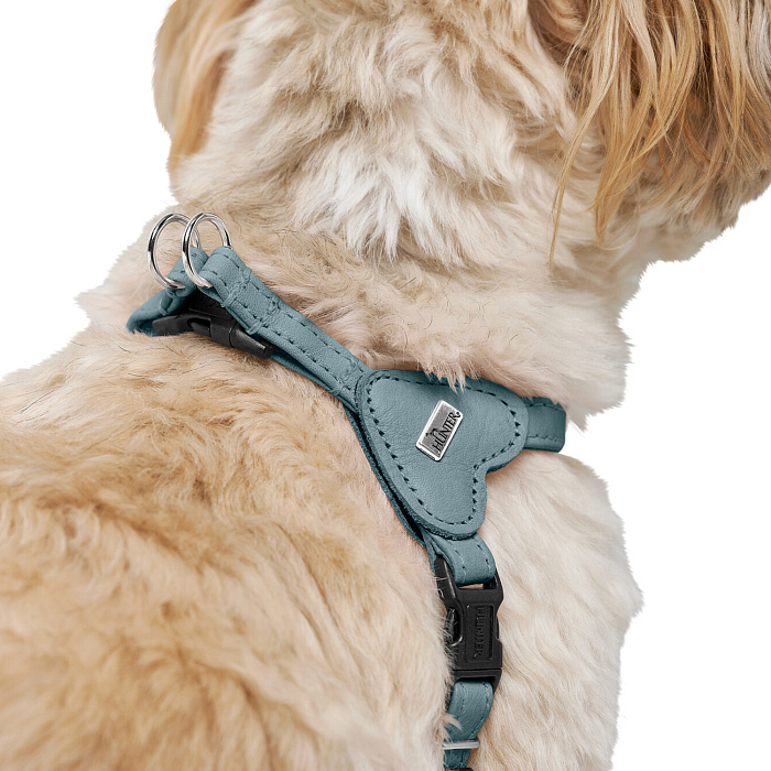 Hunter шлейка для собак Soho Mini XS-S (33-44 см), натуральная кожа, голубая